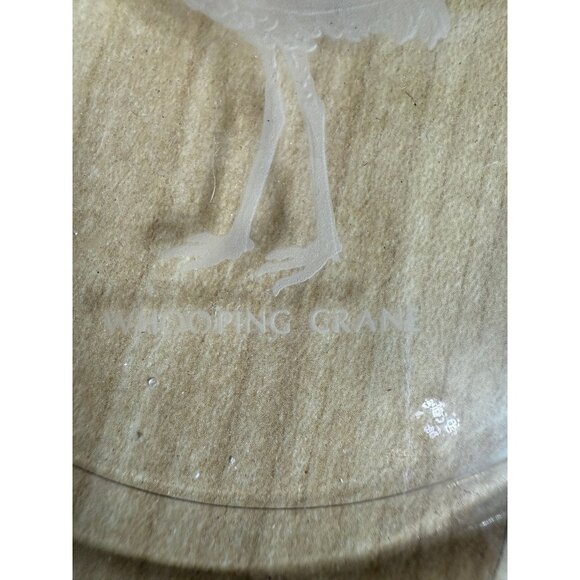 Vintage Etched Glass Plate – Whooping Crane Design - Picture 3 of 7